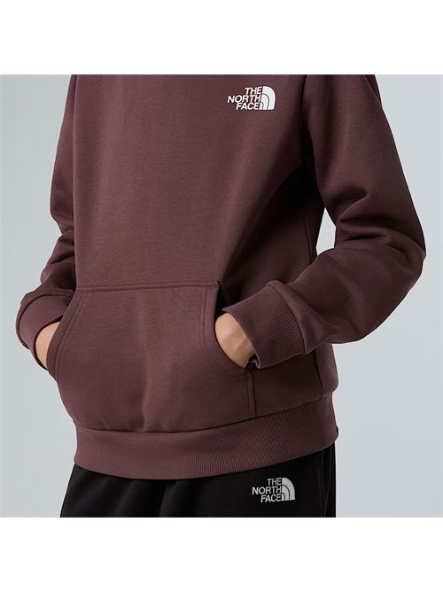 Felpa con cappuccio Simple Dome da ragazzi THE NORTH FACE | NF0A8AXV/BQ71